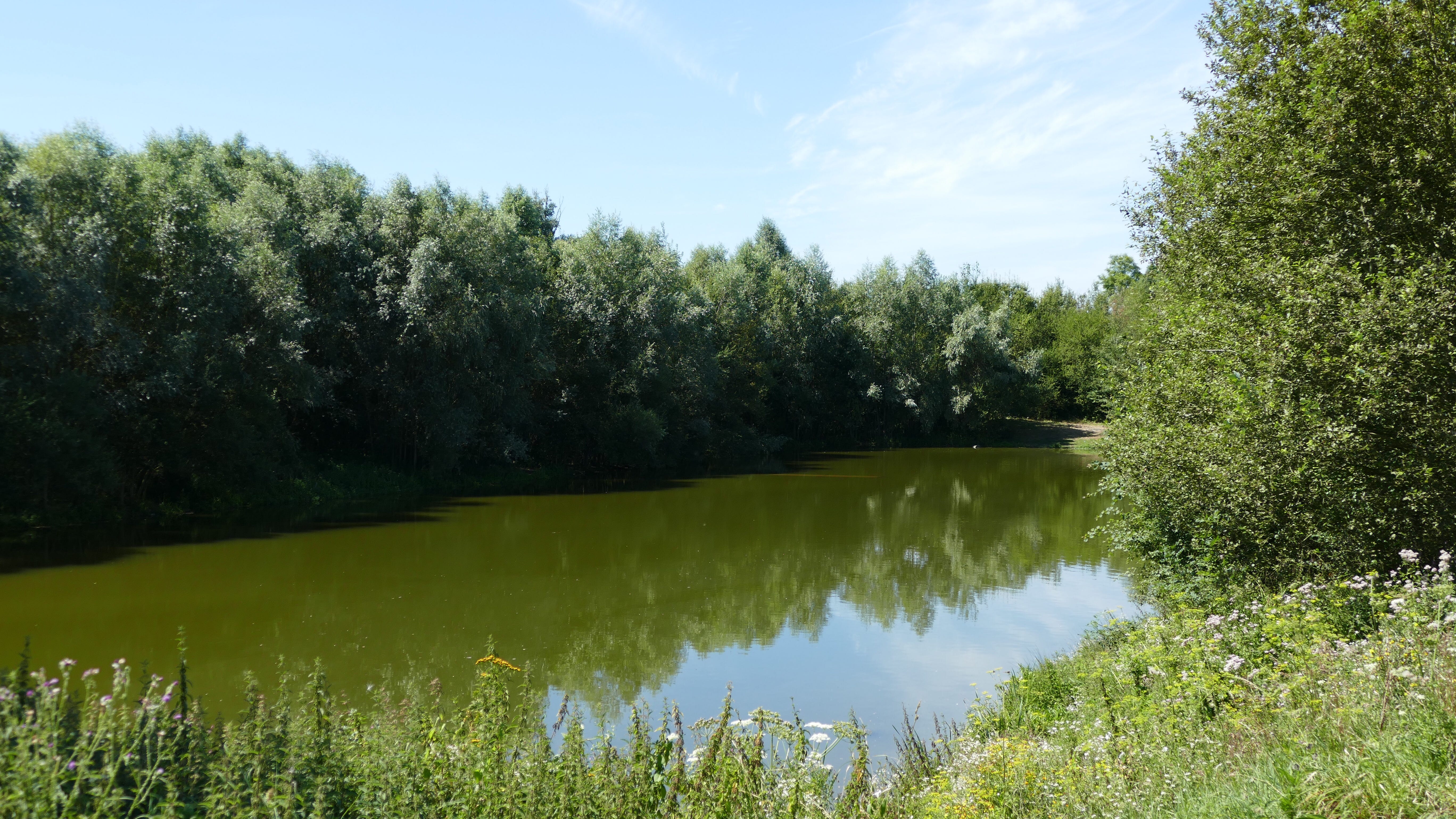 L'étang de Gondoire