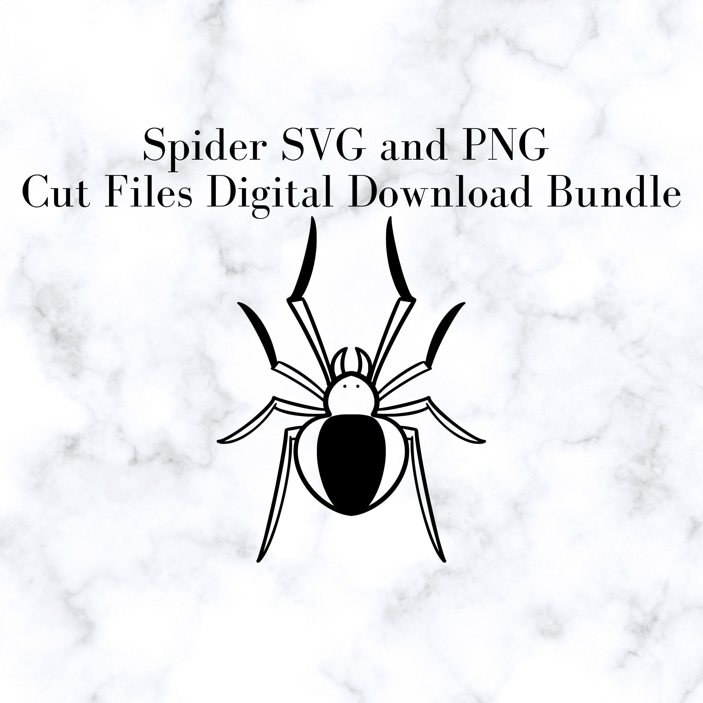 Spider SVG and PNG Cut Files, Digital Download Bundle