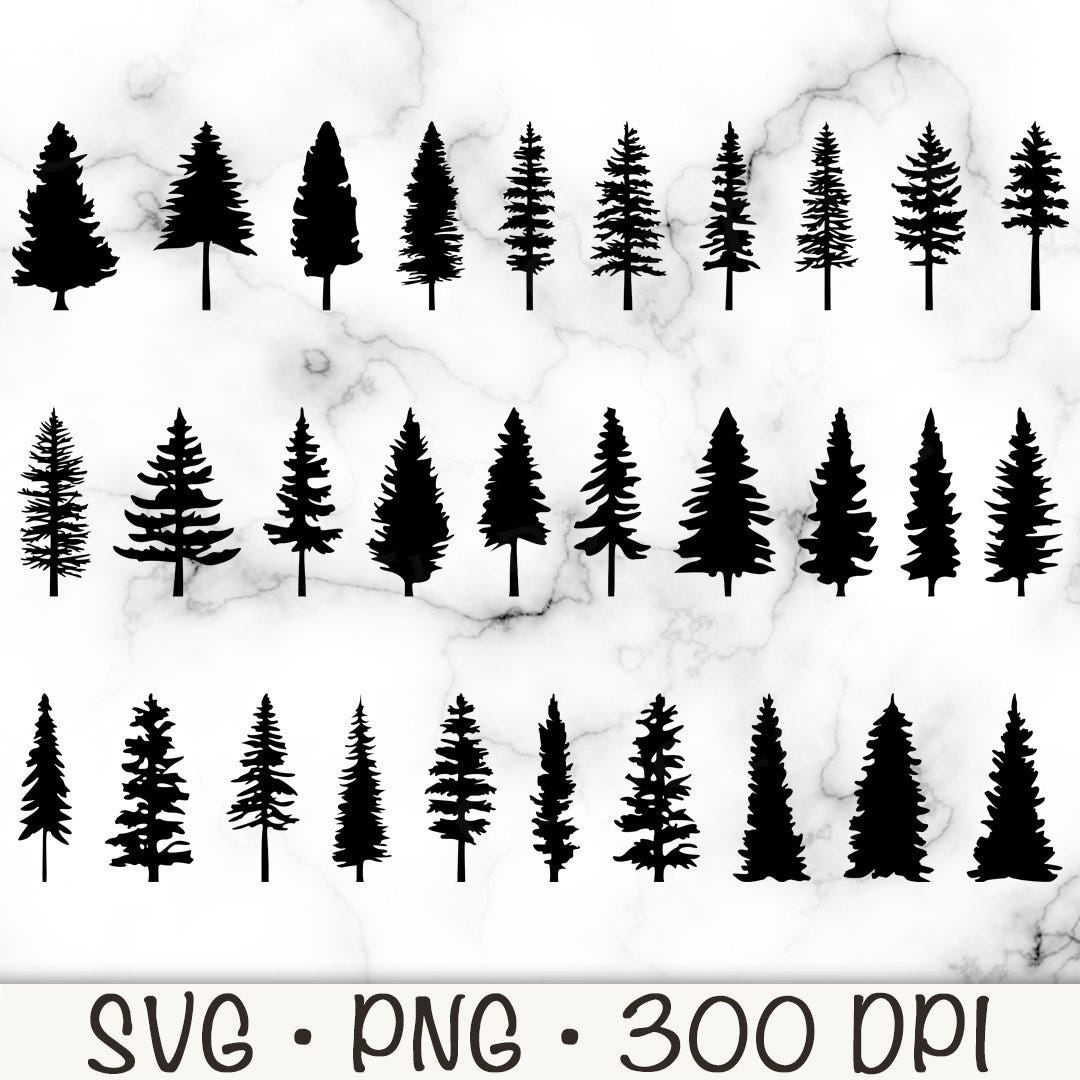 Pine Tree Silhouette SVG Bundle Pack, Evergreen Trees PNG, Instant Digital Download