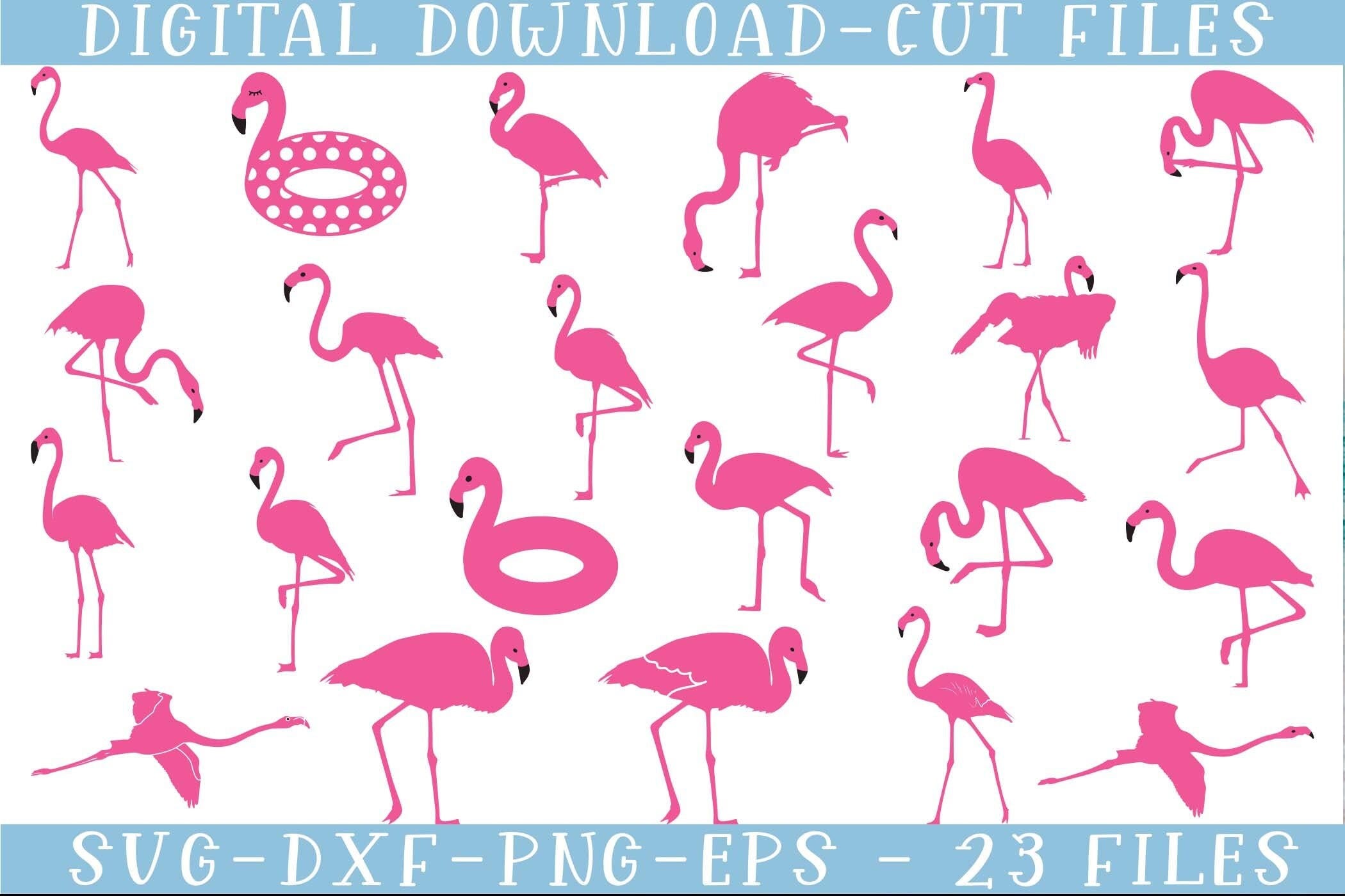 Flamingo Svg Bundle, Flamingo Svg, Flamingo Cut files, Bird Svg, Silhouette Bird Svg, Flamingo Clip art, Cut file, Bird Svg Bundle, Flamingo