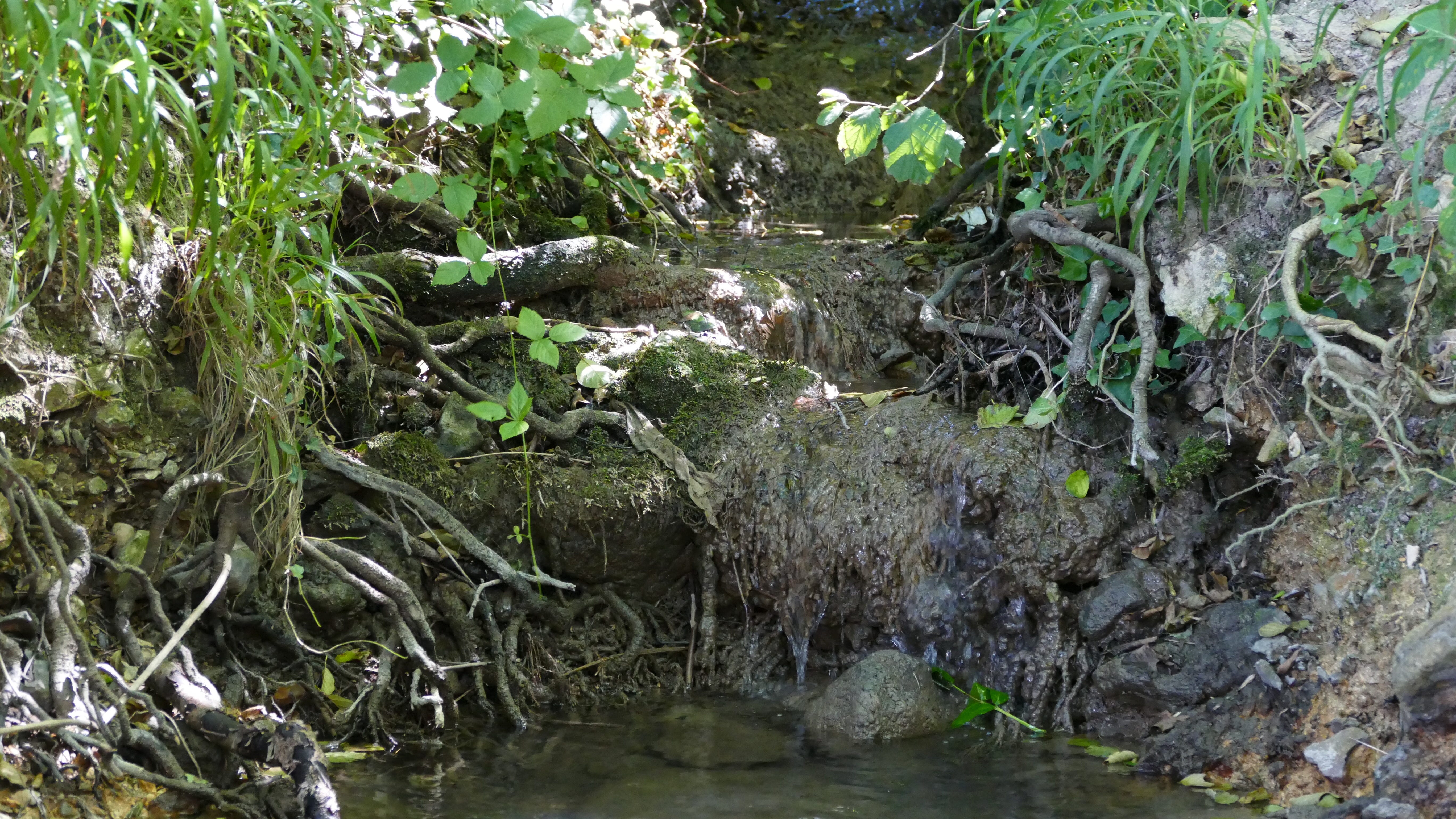 La pente douce du ru est parsemée de marches naturelles