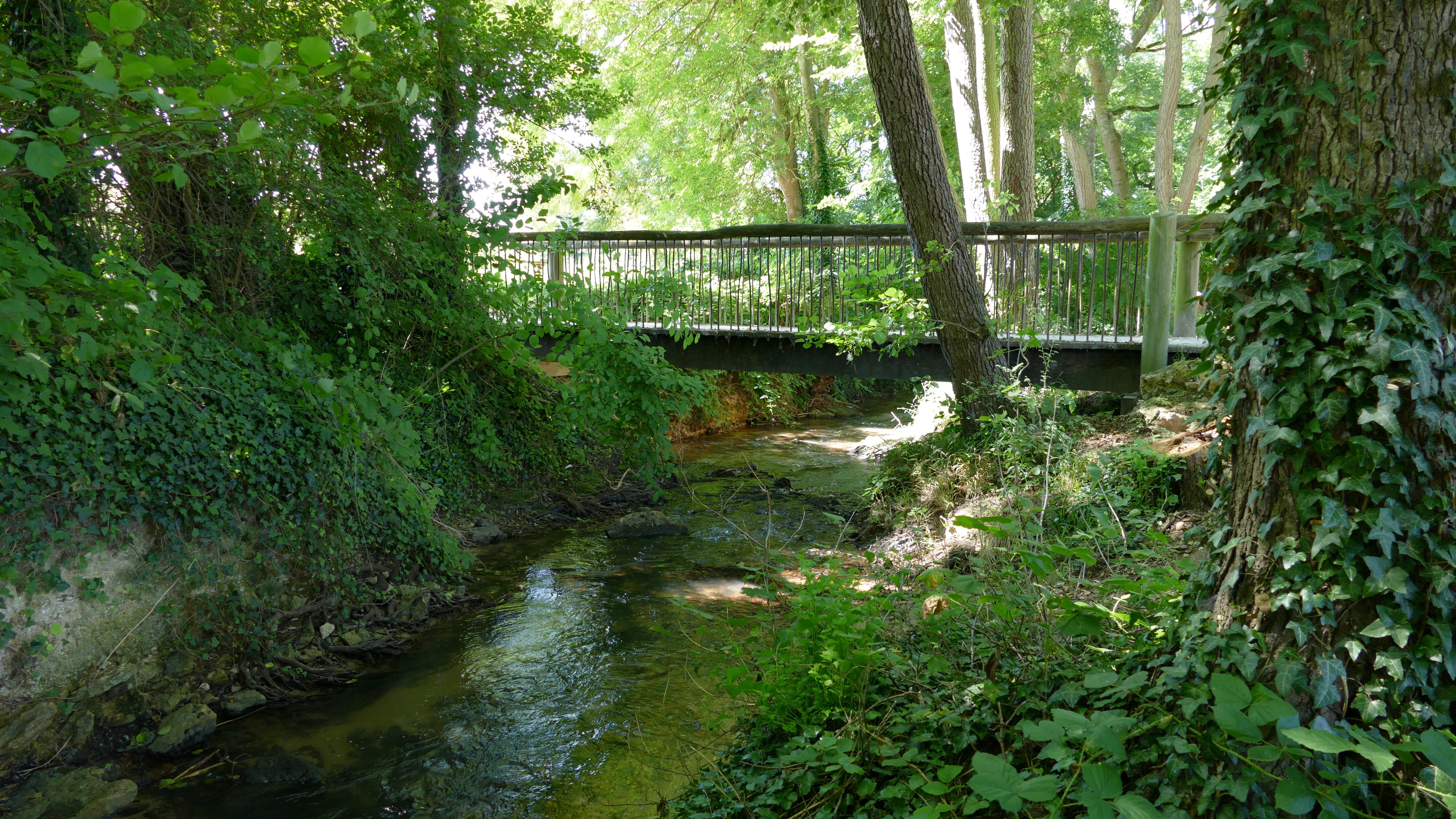 Un pont au dessus du ru de la Gondoire 