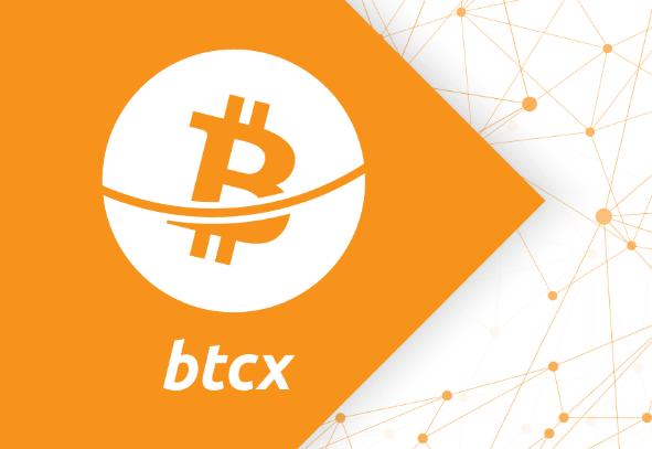 Hasil gambar untuk btcx bounty