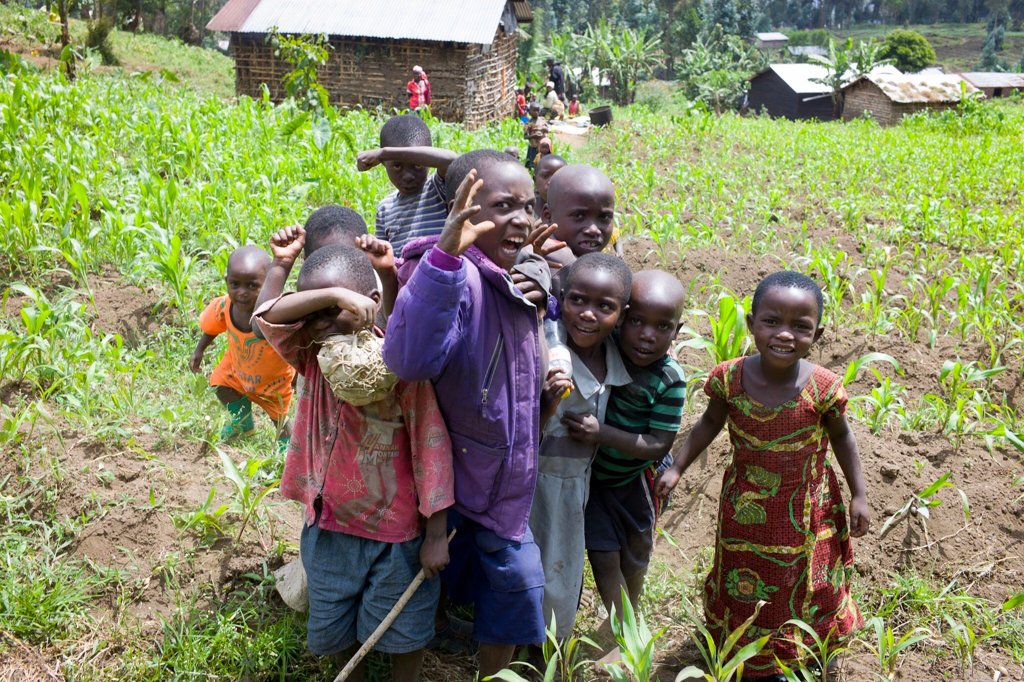 Group of houses close to the park entrance at the Virunga national park