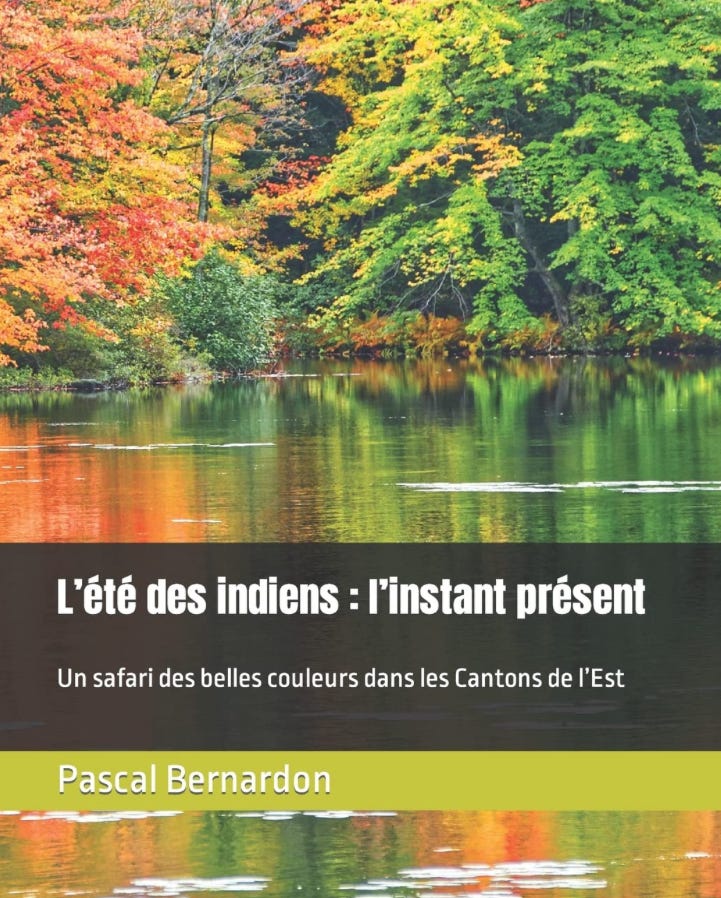 Le Safari des Belles Couleurs - ISBN 978-2-9554187-5-8