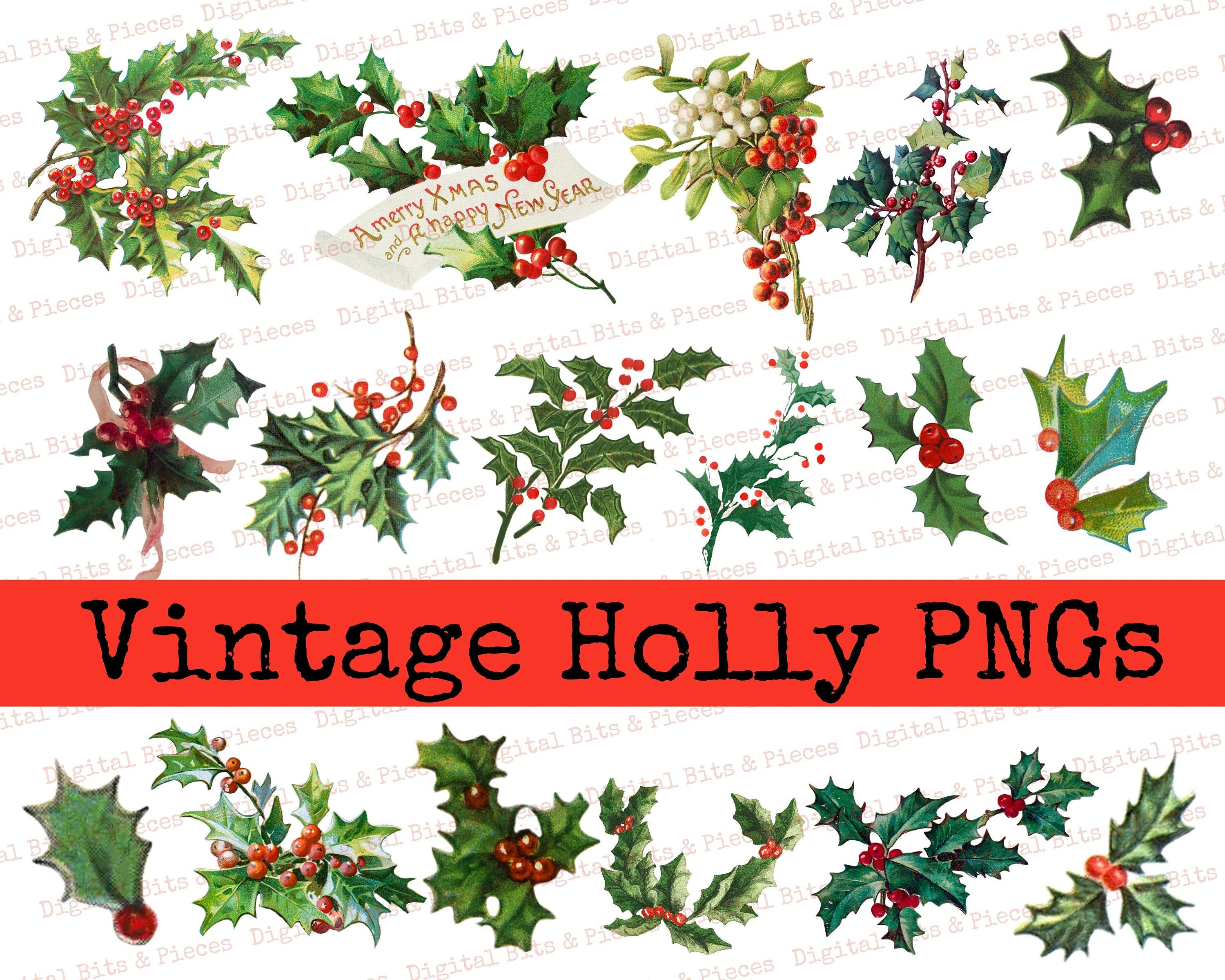 Vintage Holly Leaves Clip Art Bundle, Retro Christmas, Junk Journal, Collage Elements, Instant Download, Vintage Christmas PNGs, Fussy Cut