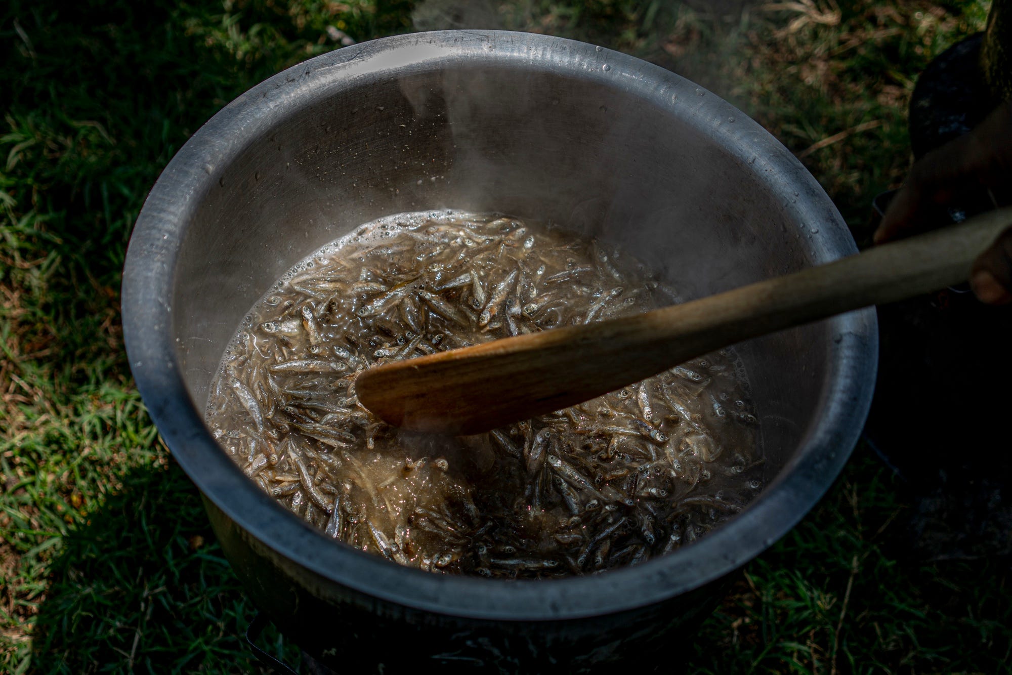 Omena used in traditional cooking