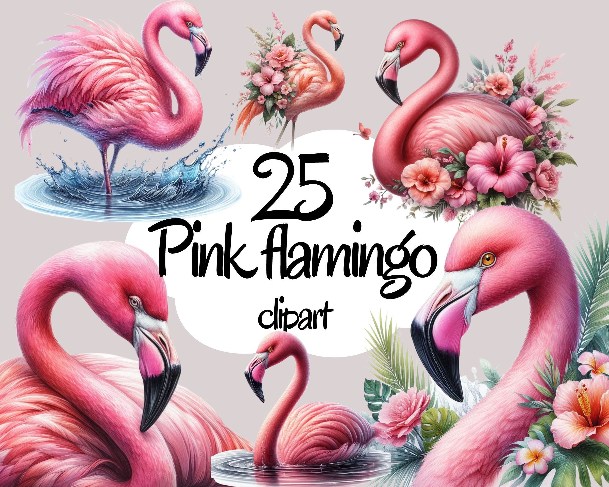 Flamingos Watercolor pink Clipart Bundle - PNG Flamingo Images, Floral Birds Graphics, Instant Digital Download, Commercial Use