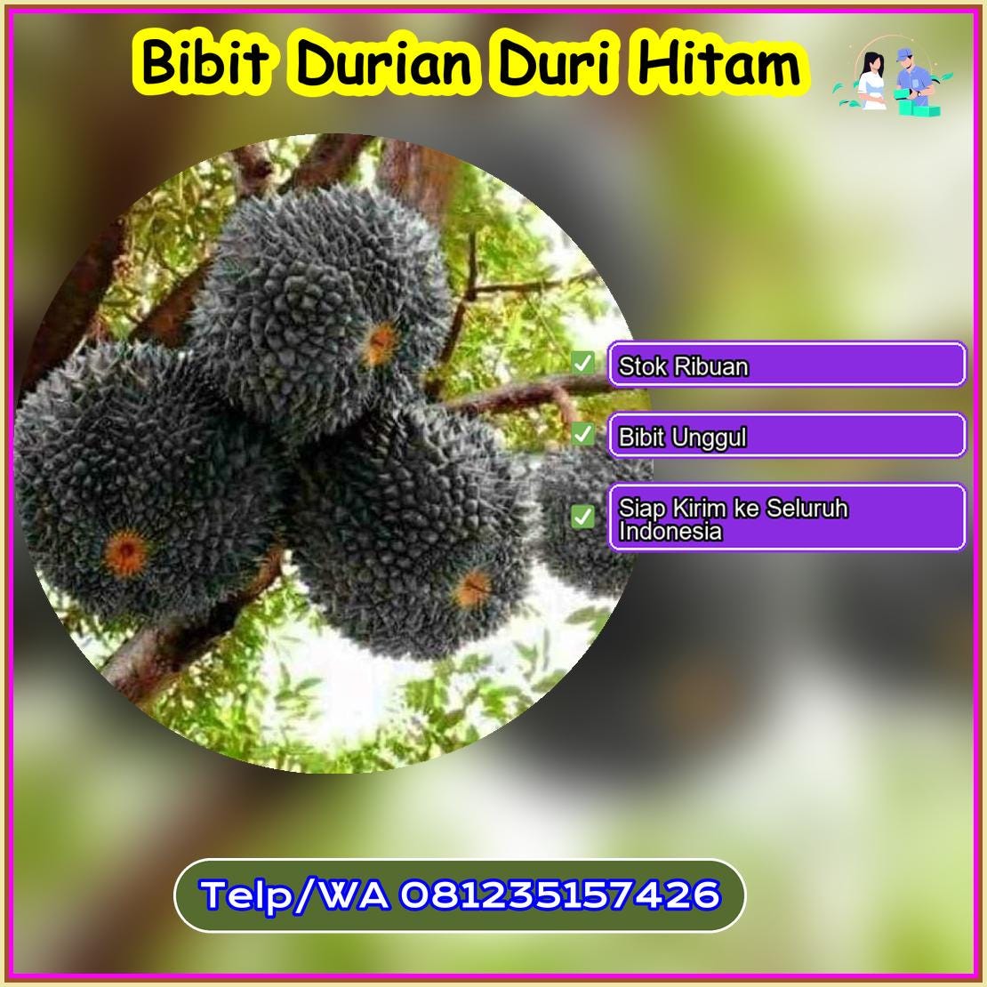 Supplier Bibit Durian Duri Hitam Tasikmalaya