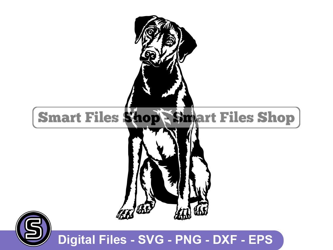 Sitting Rhodesian Ridgeback SVG, Rhodesian Ridgeback Svg, Dog Svg, Rhodesian Ridgeback Dxf, Rhodesian Ridgeback Png, Clipart, Files, Eps