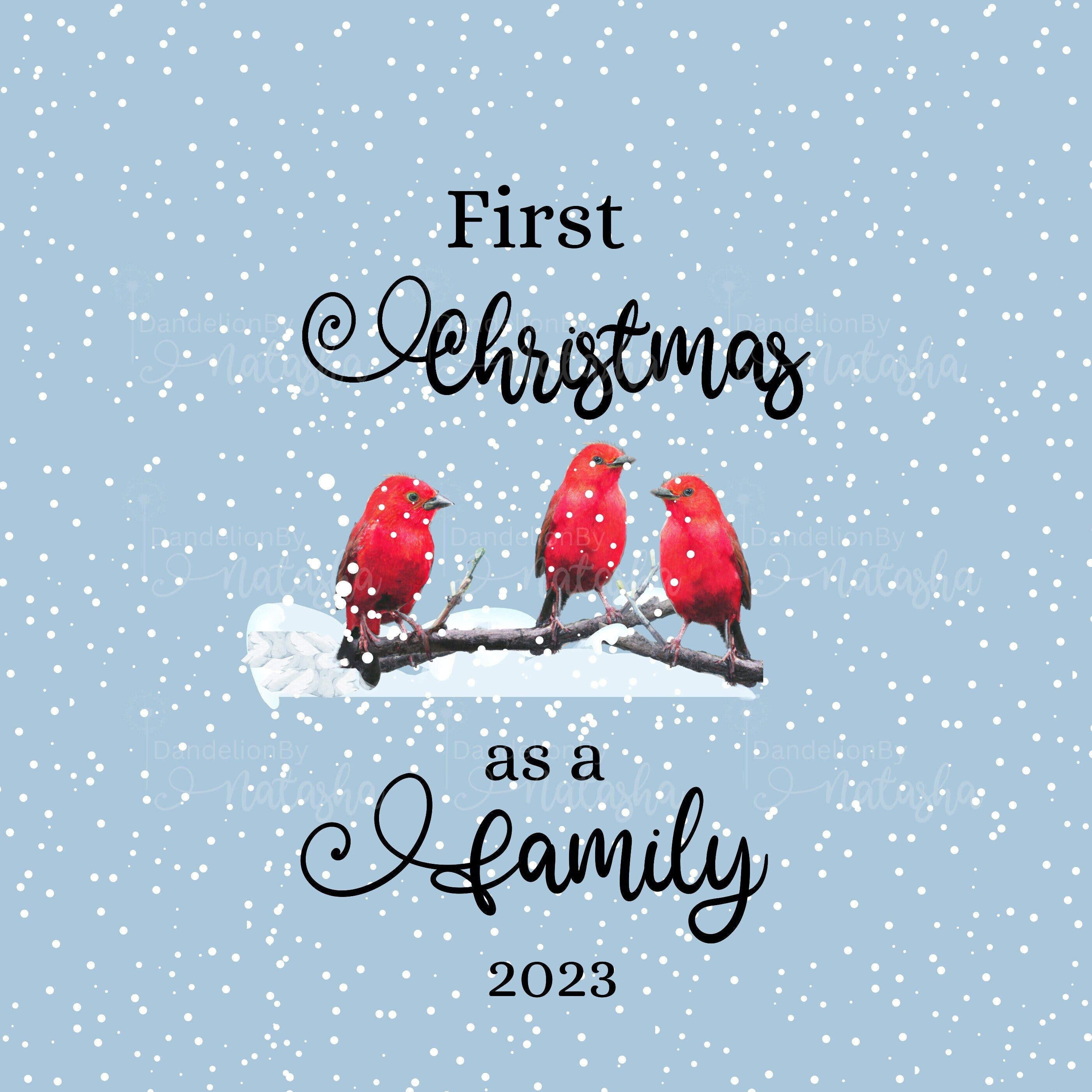 First Christmas Together |SVG PNG| Our first Christmas, First Christmas 2023, Digital Download, Red birds and  snow, Digital Design File,