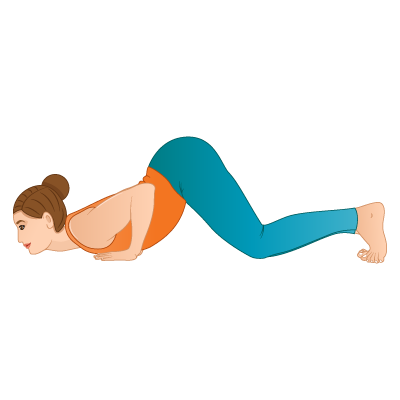 Ashtanga Namaskara (Eight-Limbed Pose)