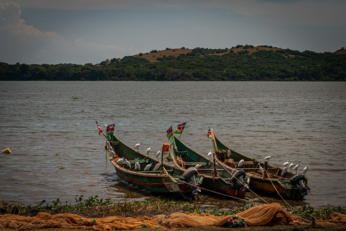 river boats.