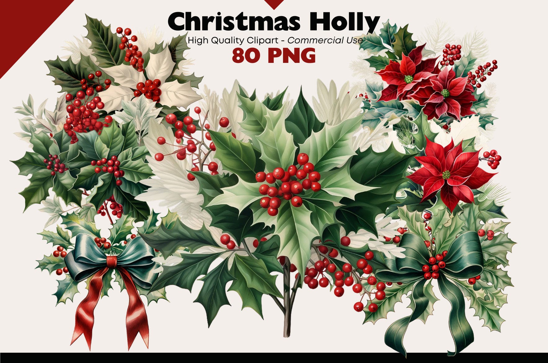Christmas Holly Clipart, Holly PNG bundle, Poinsettia and Holly Graphics, Winter Holly Wreath Clip art Illustrations, Christmas Flowers PNG