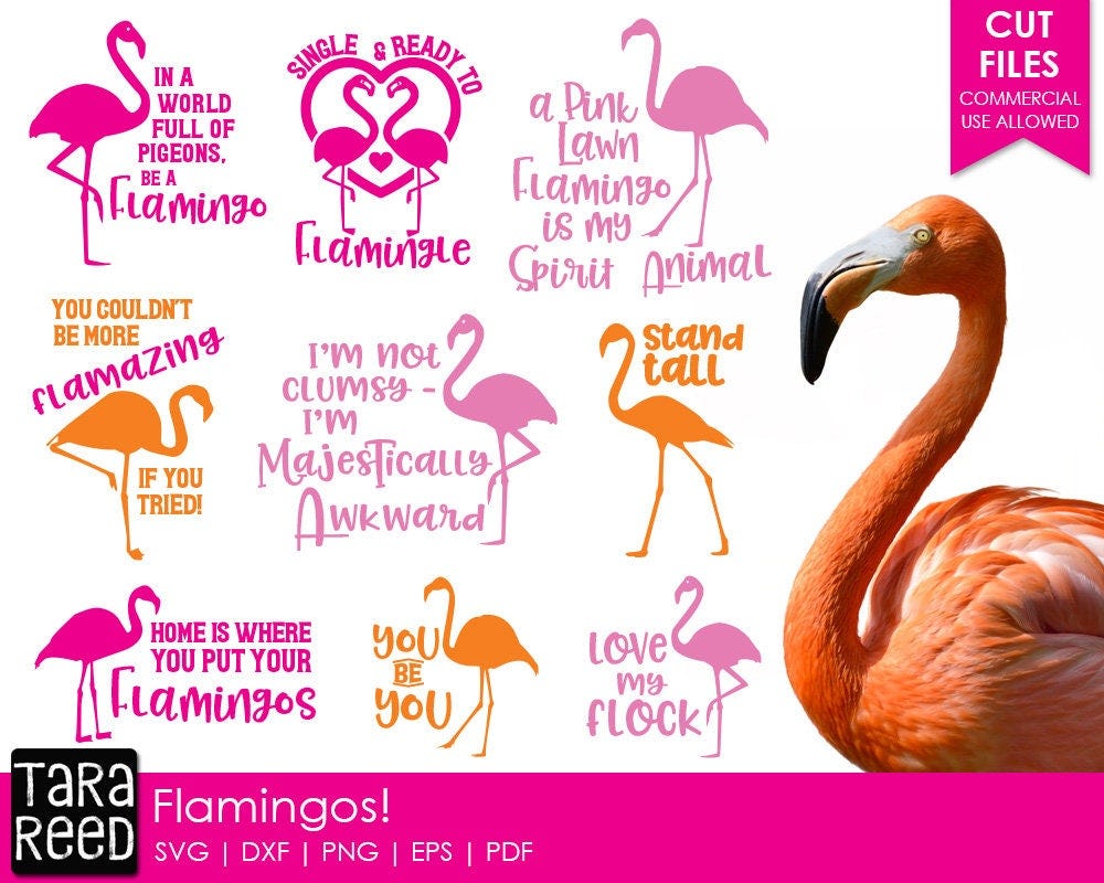 Flamingo SVG and Cut Files for Crafters