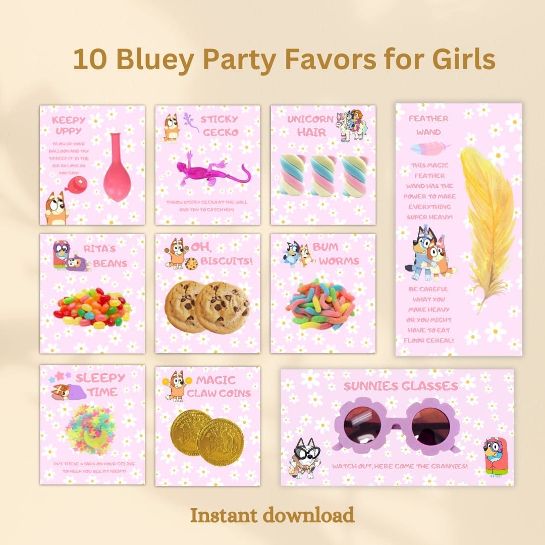 10 Bluey Party Favors for Girl Party Blue Dog Theme Girls Birthday Treat Bundles Bluey Girl Gift Party Bluey Granny Glasses Keepy uppy BB04