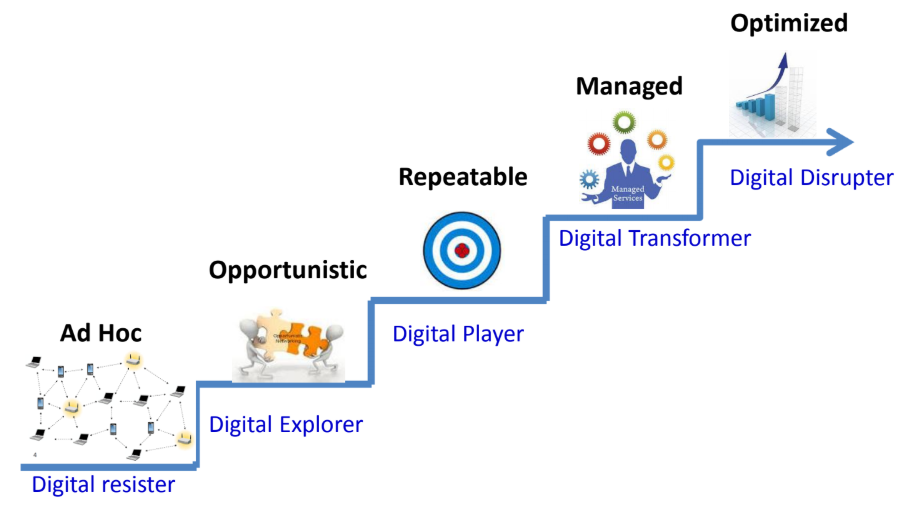 DT maturity scape