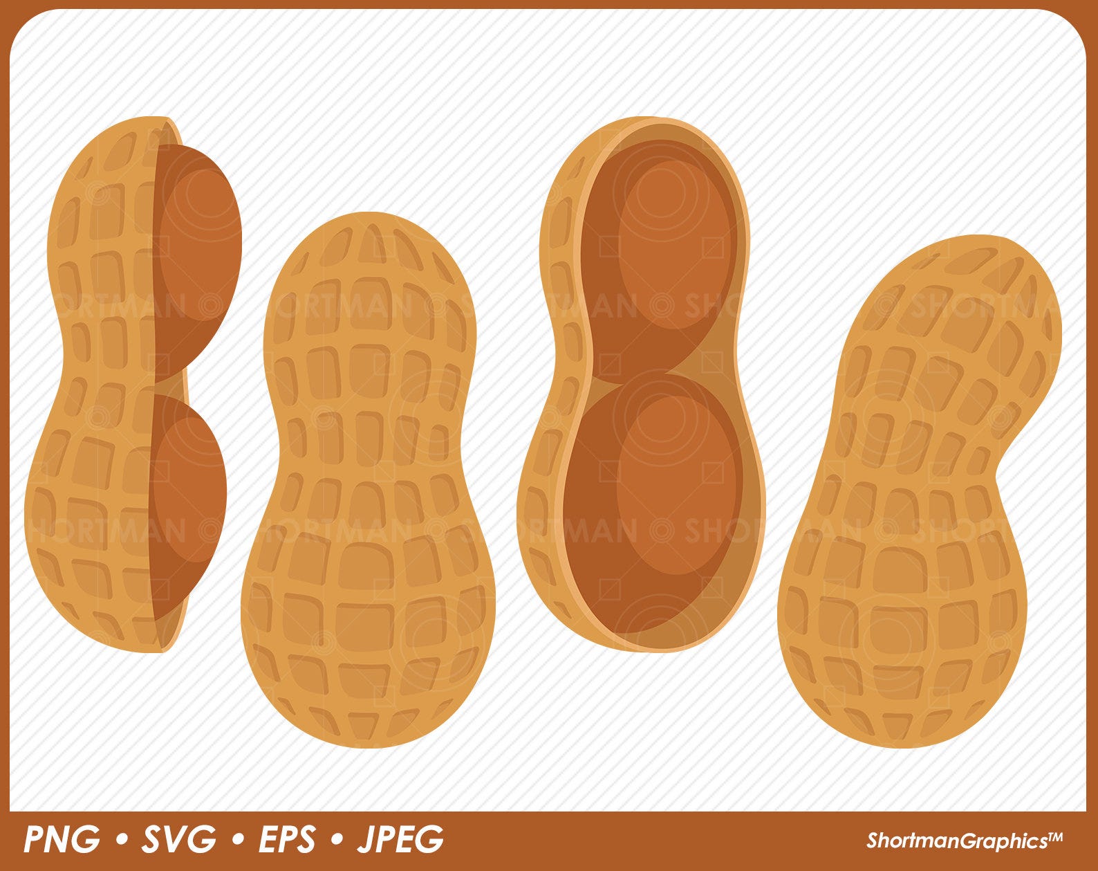 Peanut Clipart - SVG PNG Download