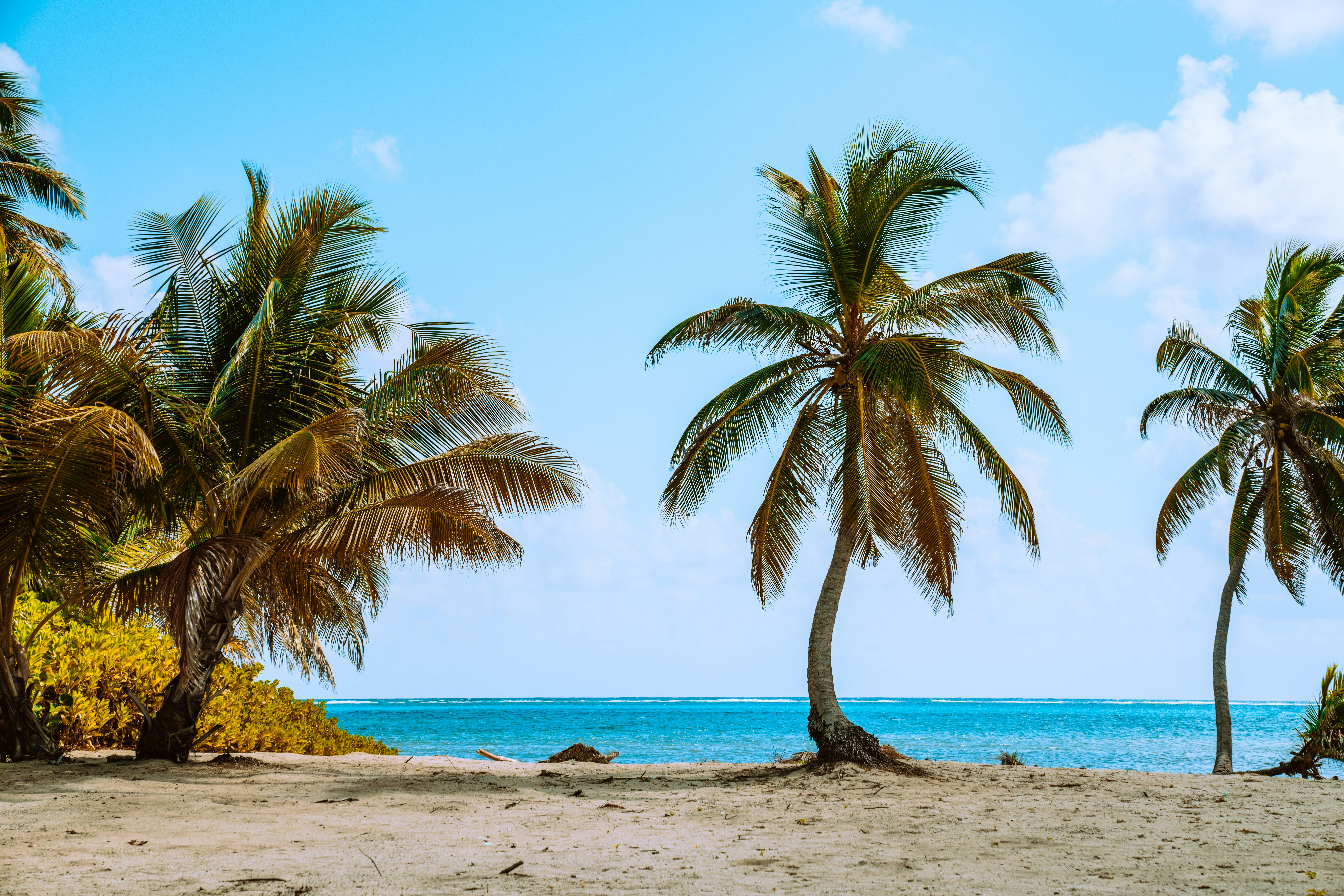 A Landscape Photo of an Island with crystal blue waters in the distance, sparse clouding, white sandy ground, and interspersed palm trees.