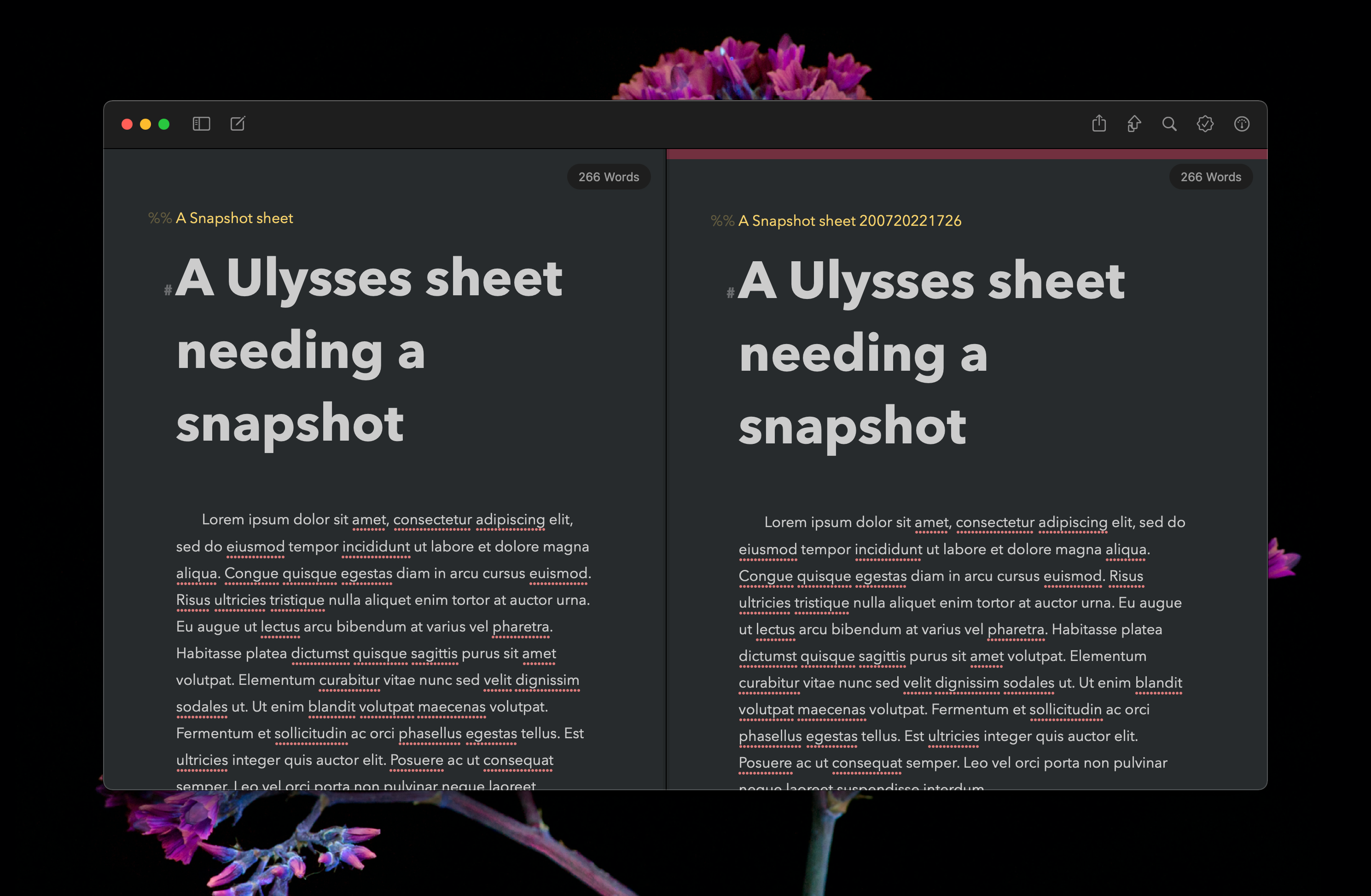 The Snapshot sheet open in the Second Editor in Ulysses
