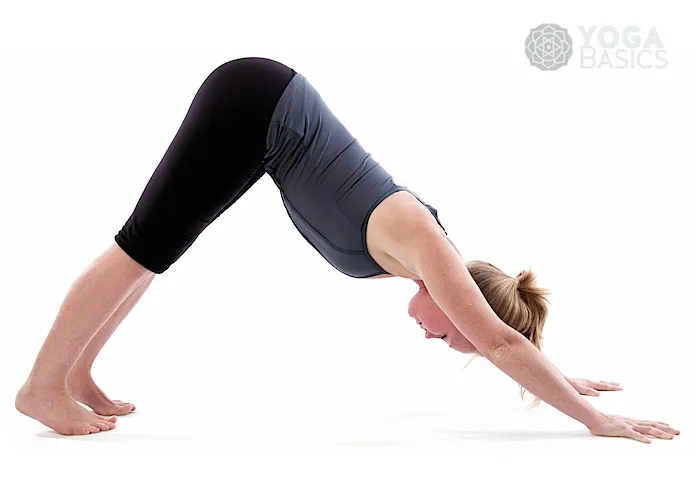 Adho Mukha Svanasana (Downward-Facing Dog)