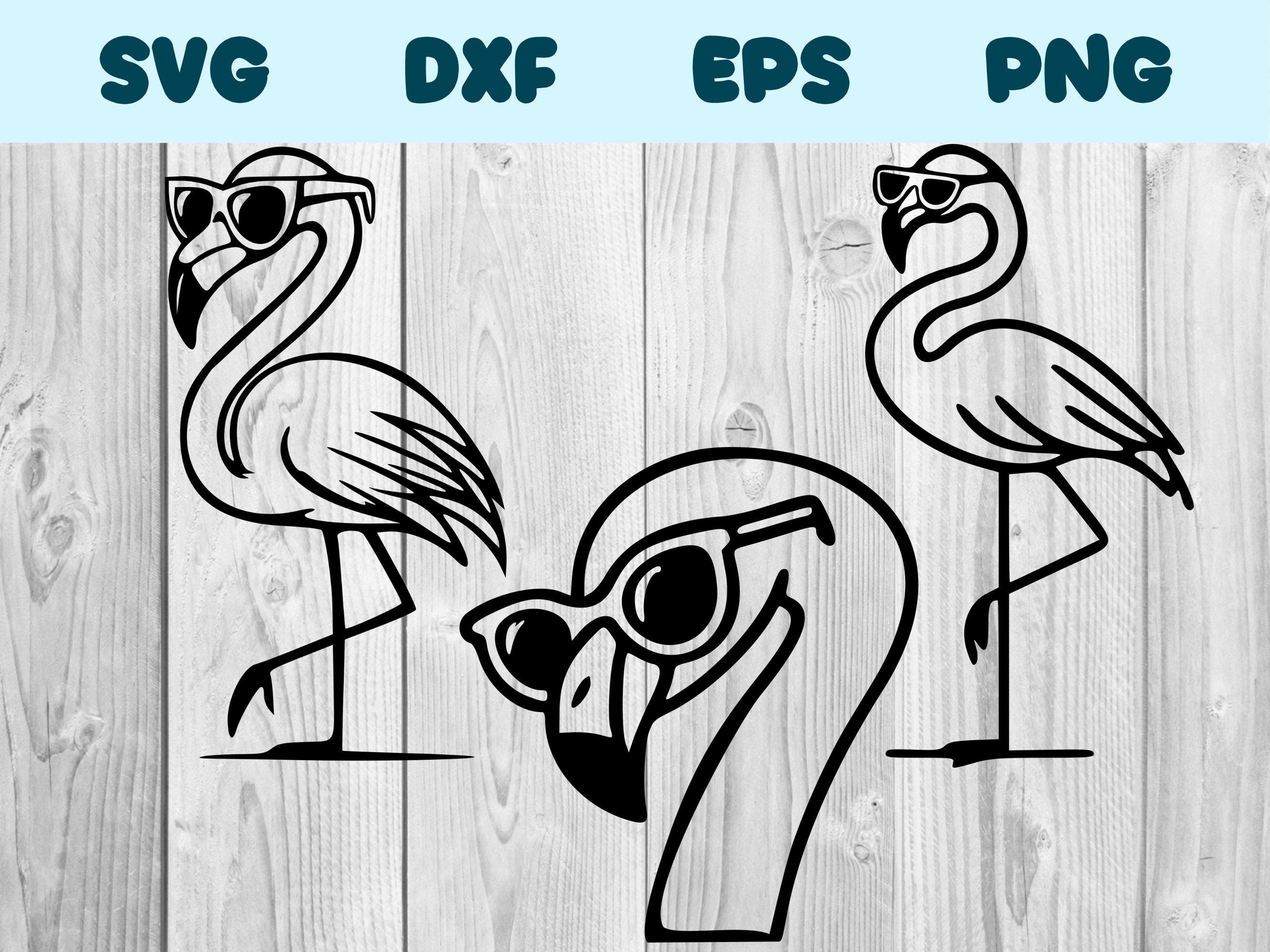 Flamingo With Glasses Svg Flamingo With Glasses Png Flamingo With Glasses Clipart Flamingo Vector Bundle Pack Commercial Use