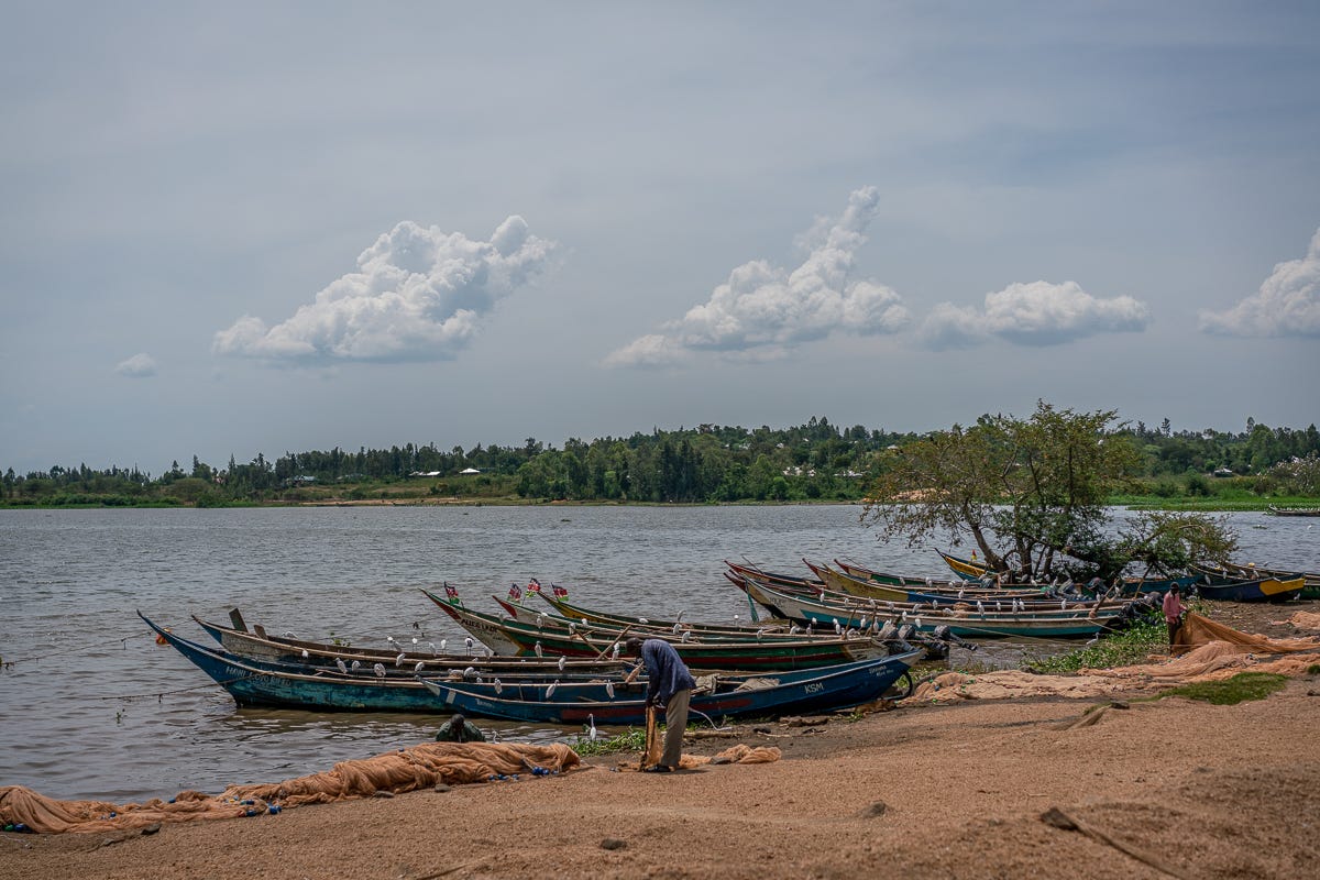 boats.