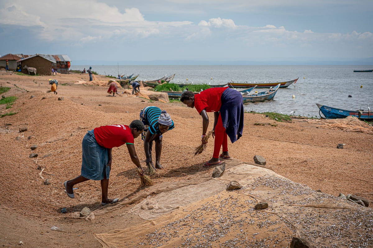 People near the river collecting omena.