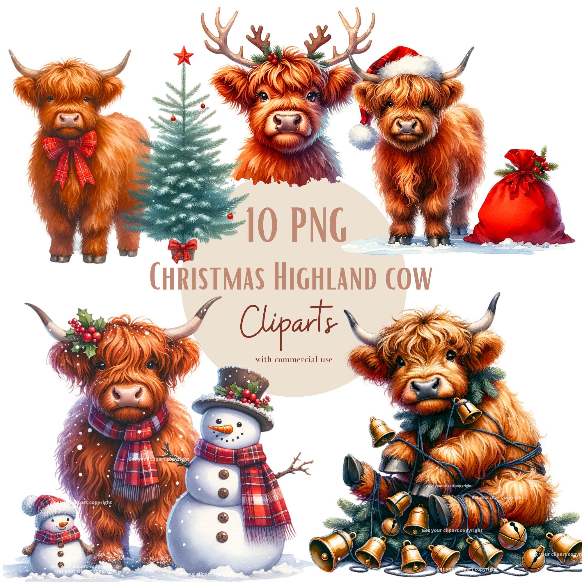 Christmas Highland cow clipart bundle, Scottish Highland cow, Set of 10, Transparent background, Commercial use, Instant download