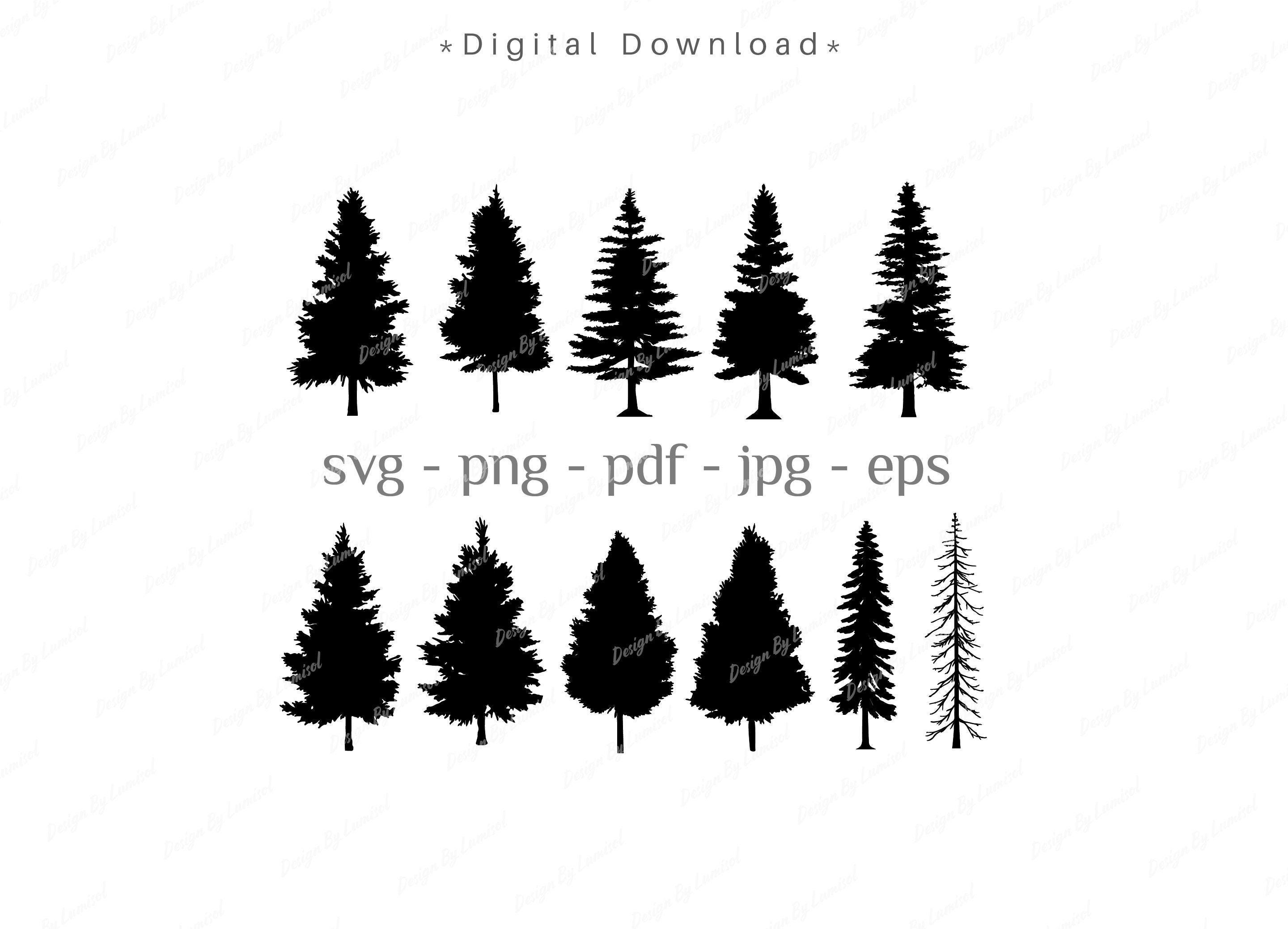 Evergreen Trees Bundle, SVG png pdf jpg eps, Spruce Tree, Pine Tree, Christmas Tree, Woods, Fall trees, Instant Download, Forest cutfiles
