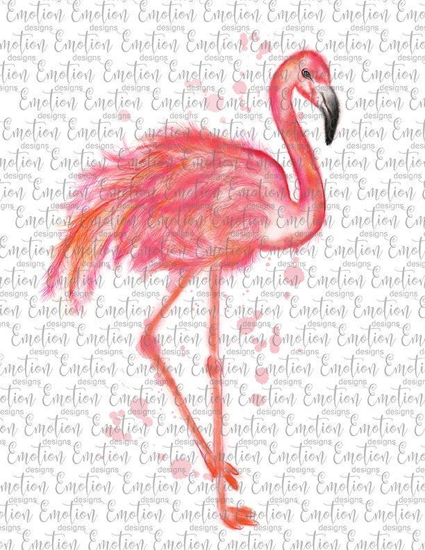 Flamingo hand drawn watercolor clipart, instant download, Sublimation Graphics, scrapbooking, PNG