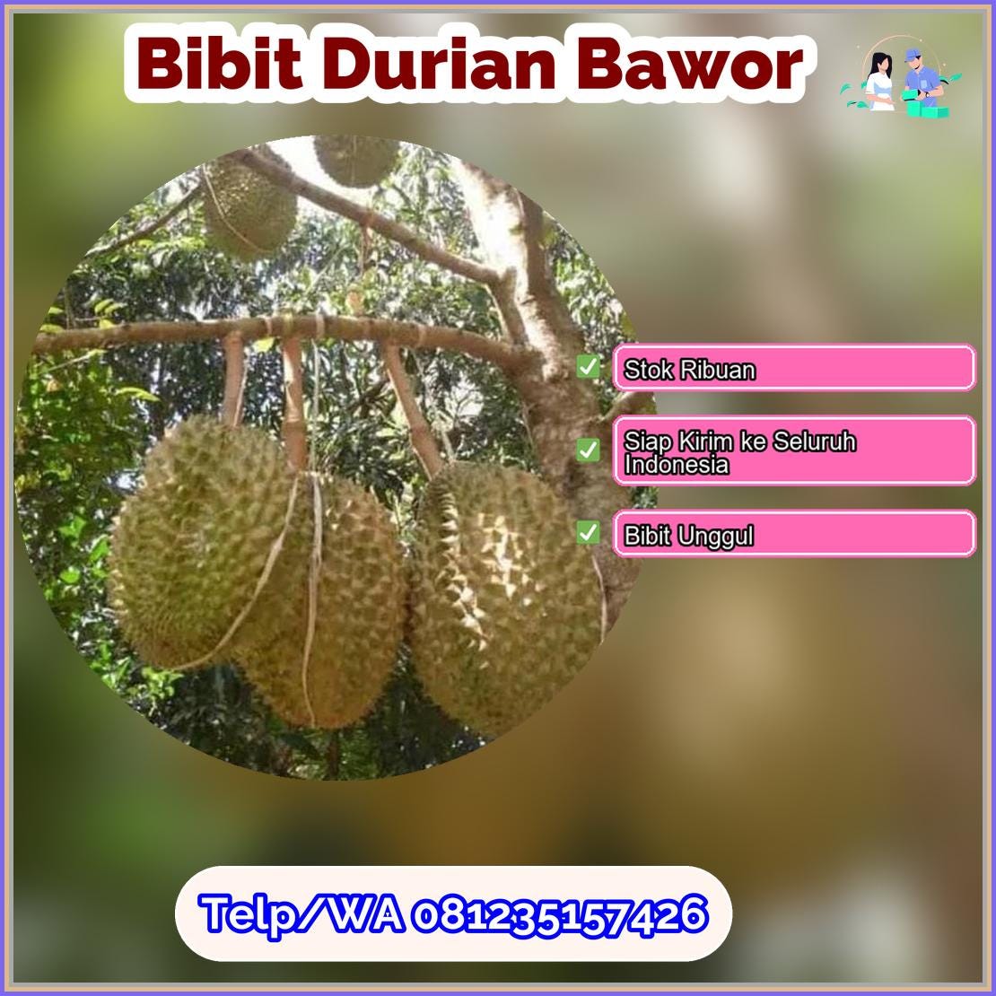 Pusat Pembibitan Bibit Durian Bawor Sekadau