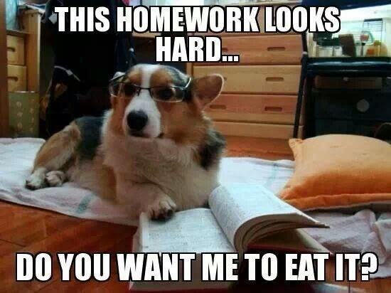 Agile Didn’t Eat Your Homework…