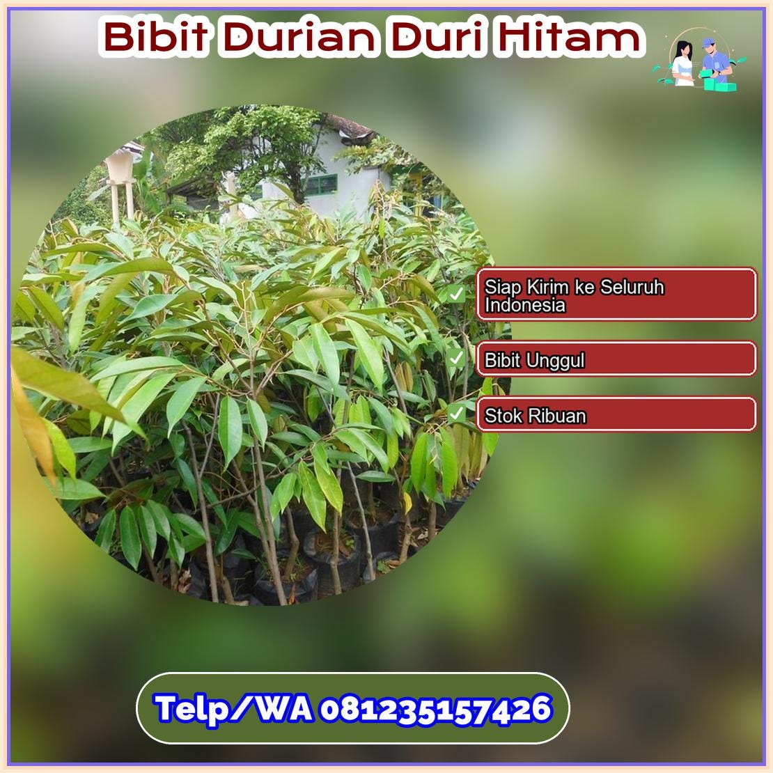 Jual Bibit Durian Duri Hitam Tasikmalaya