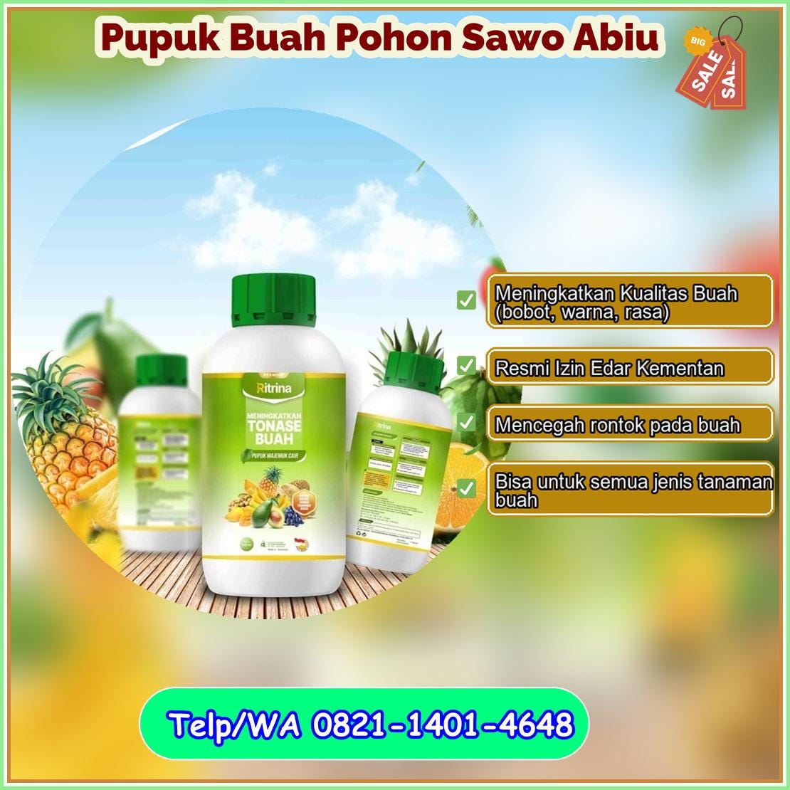 Supplier Pupuk Buah Pohon Sawo Abiu Hasil Melimpah