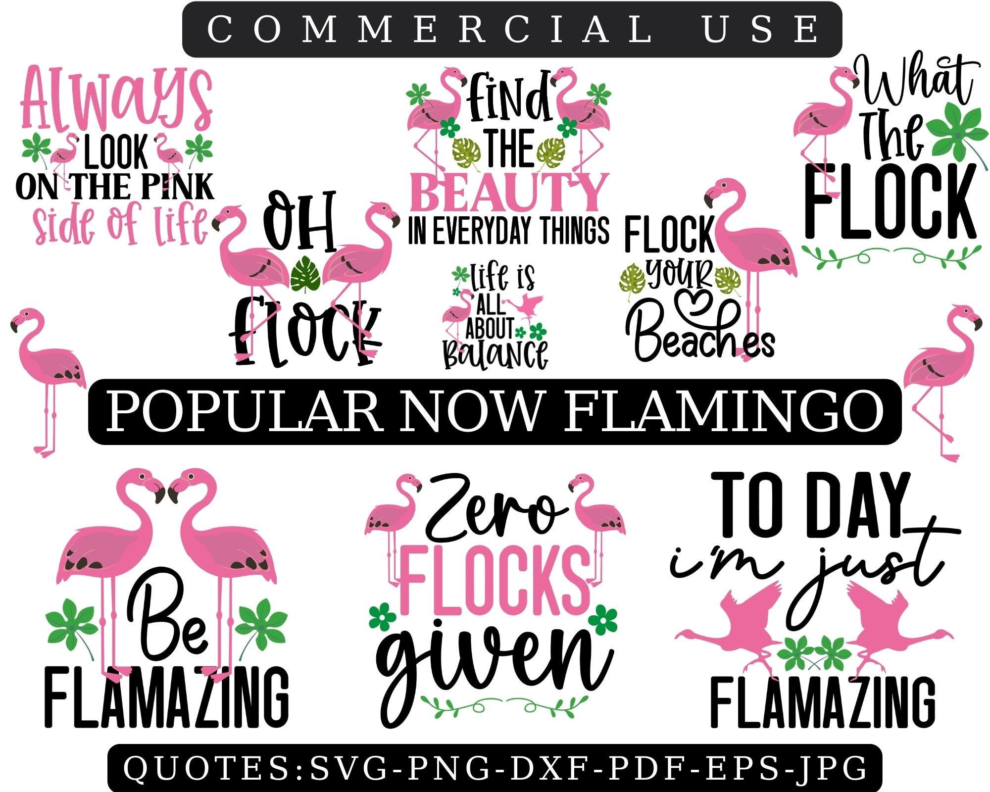FLAMINGO QUOTES SVG Bundle, Flamingo Svg Png Dxf Eps, Flamingo Clipart, Digital File Designs for Glowforge Cricut Laser Cutter Silhouette