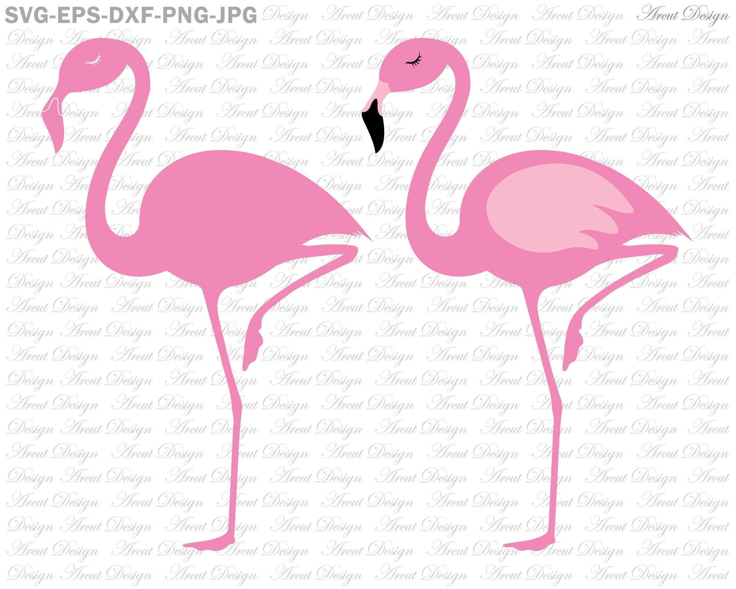 flamingo svg, summer svg, flamingo cut file, beach svg, pink flamingo svg, flamingo monogram, flamingo shirt, svg files, svg file for cricut