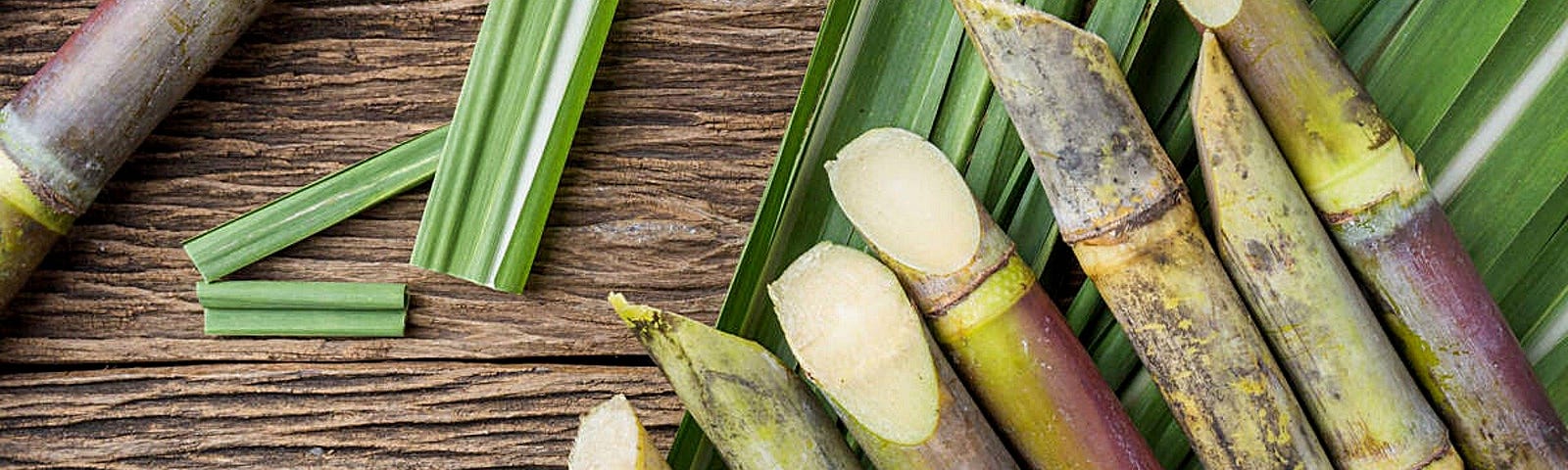 Сахарный тростник районы выращивания. Сахарный тростник в Латинской Америке. Монако сахарный тростник. Сахарный тростник в Доминикане. Сахарный тростник культивируемый.