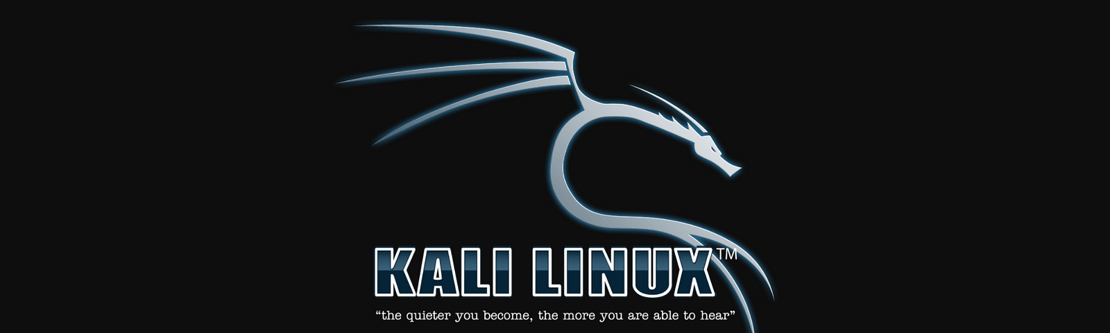 Kali linux usb. Kali Linux Nedir. Кали линукс фон 1920 на 640.