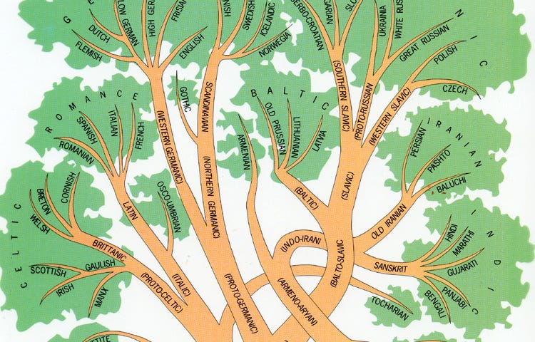 Индоевропейские ветви. Индоевропейская семья генеалогическое дерево. Родословное дерево индоевропейских языков. Индоевропейская языковая семья дерево. Древа Шлейхера индоевропейская семья.
