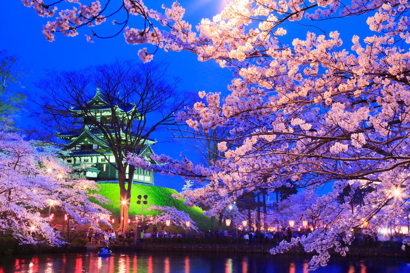 Night blossom. Япония Сакура. Гора Есино Япония сад Сакуры. Черри блоссом Найт. Сакура зимой Япония Ниигата.