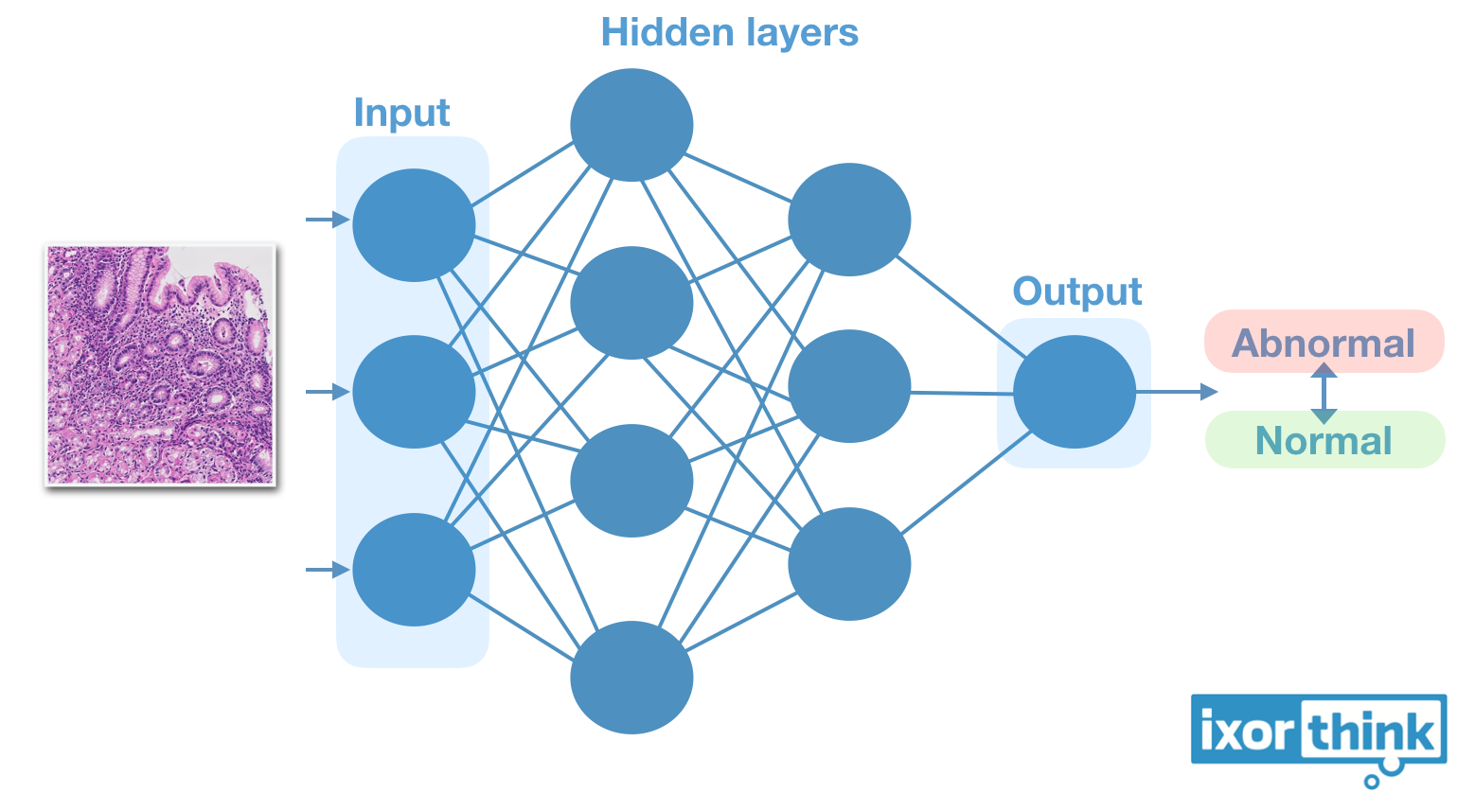 Steam neural network фото 71