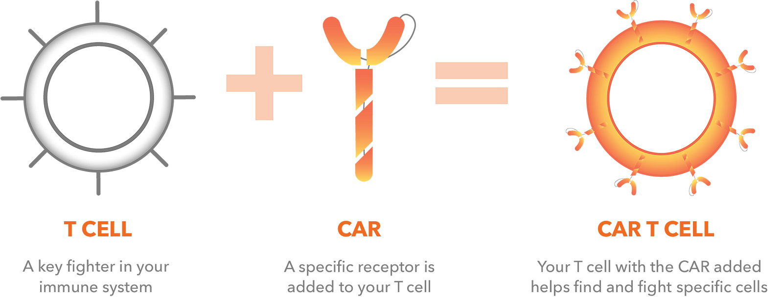 Car t. Car-t Cells. Car t Cell Therapy. Cart терапия. Car-t-лимфоциты.