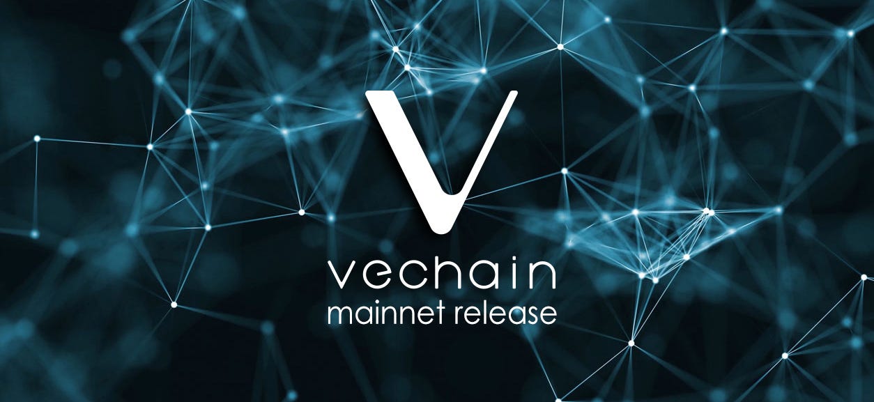 Main network. VECHAIN. Максимум VECHAIN. Ve Chain. Qchain.Mainnet.