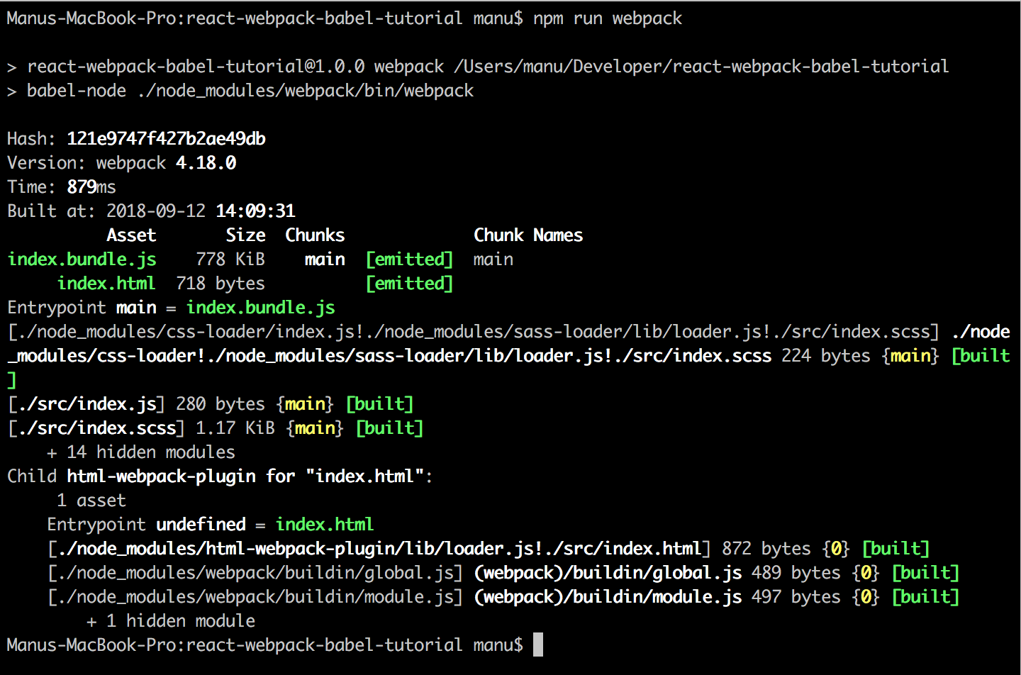 Css modules. How run webpack. react babel webpack. webpack scss to css. модуль html loader.