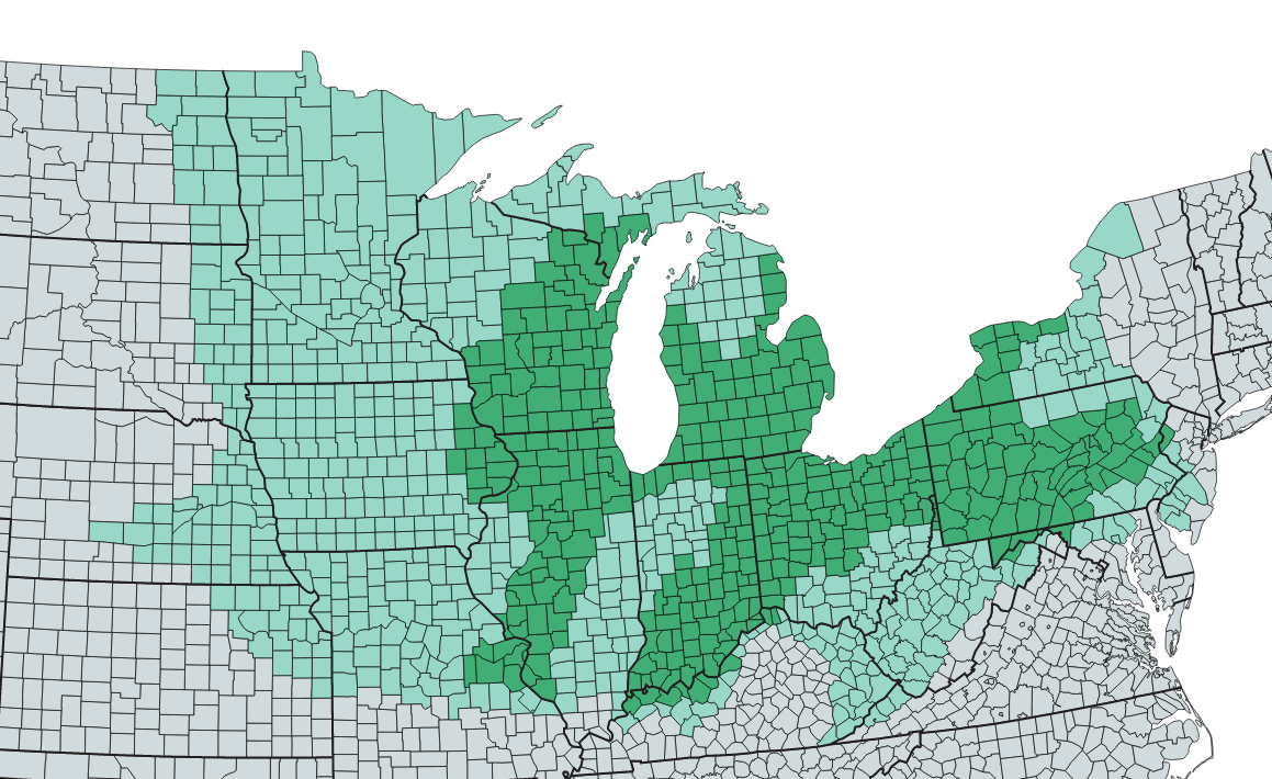 Rust belt. Зеленая карта раст. Rust Belt USA.