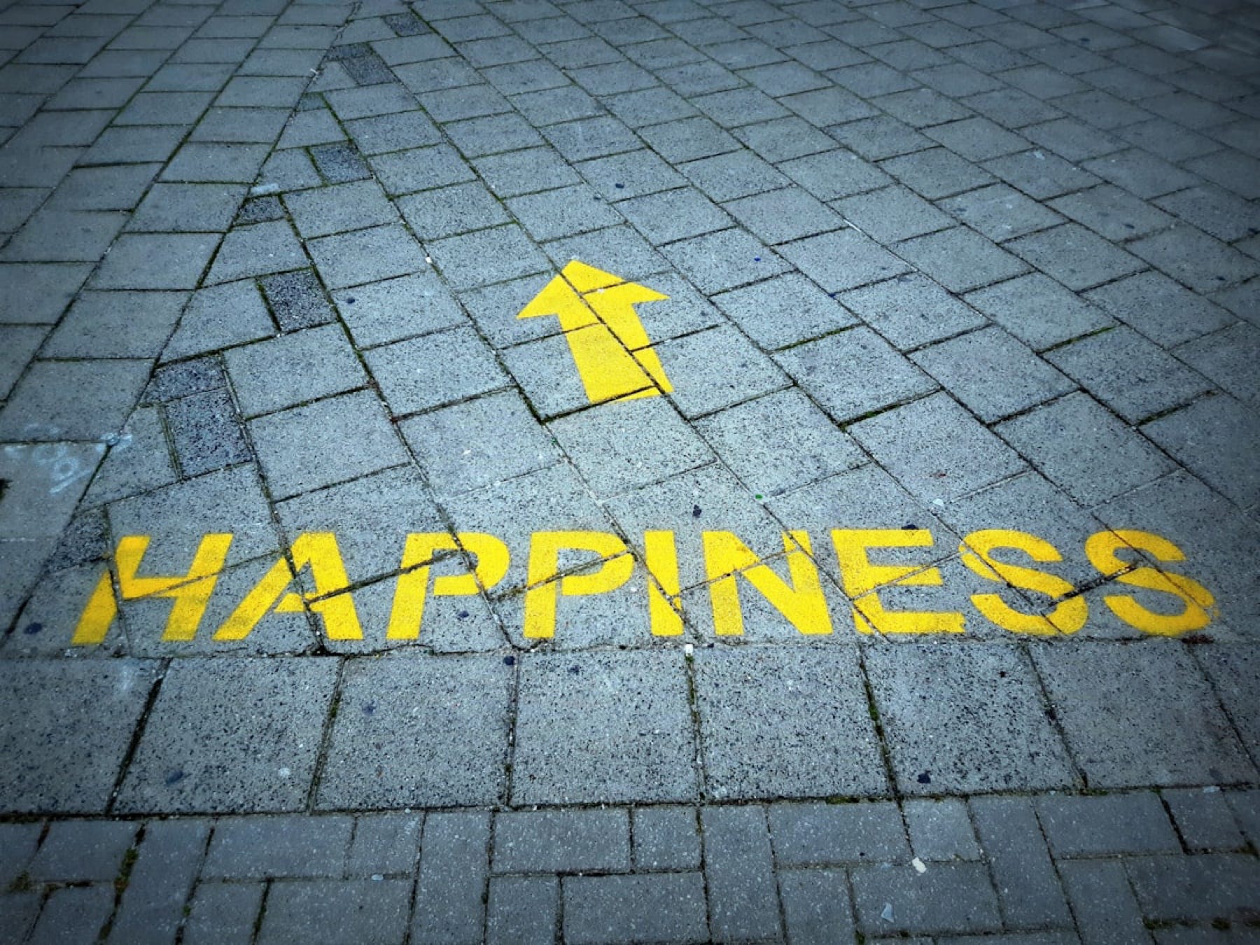 Does Money and Success Bring Happiness?