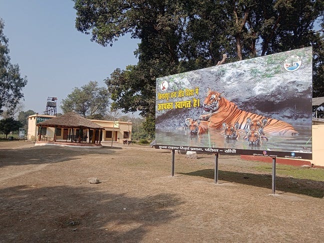 Best Wildlife Photography Tips for a Dudhwa Tiger Reserve -Kishanpur