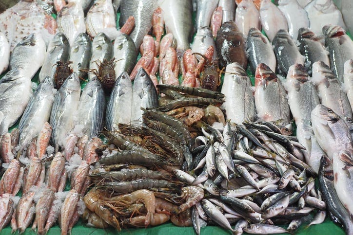 Want Sustainable Seafood? Who Do We Trust to Save Our Oceans?