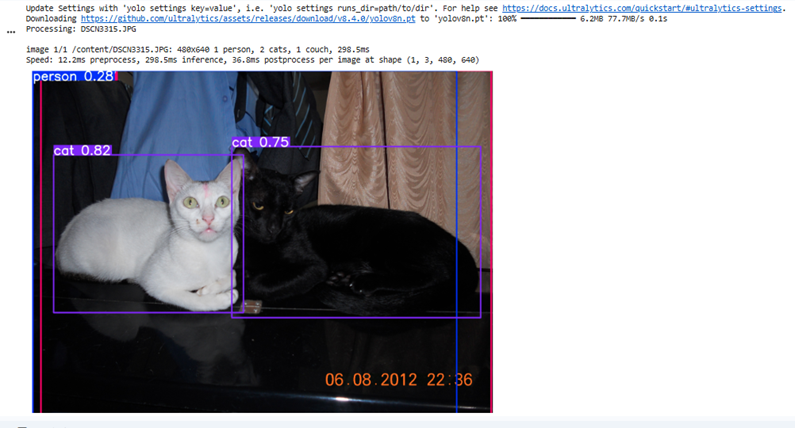 Seeing the World Through AI Eyes: Real-Time Object Detection Using YOLOv8